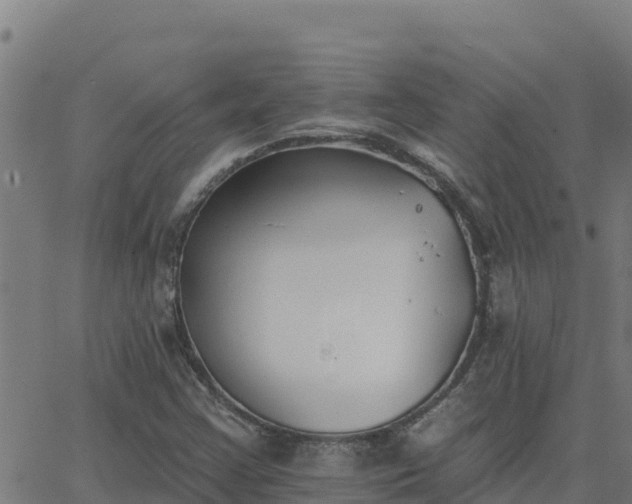 X0000062841355200601201627