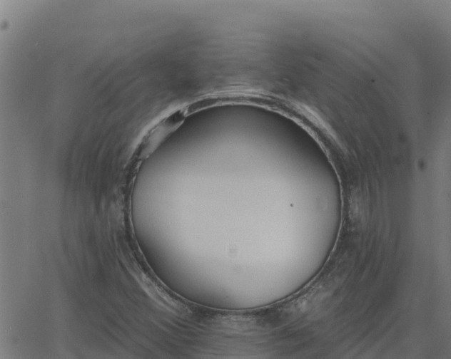 X0000062841356200601201627