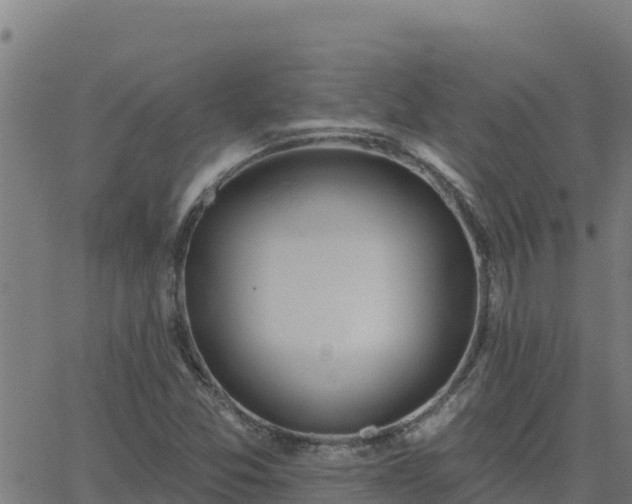 X0000062841357200601201627