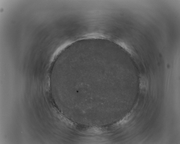 X0000062841358200601201627