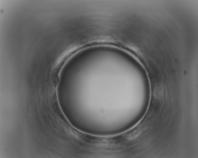 X0000062841359200601201627