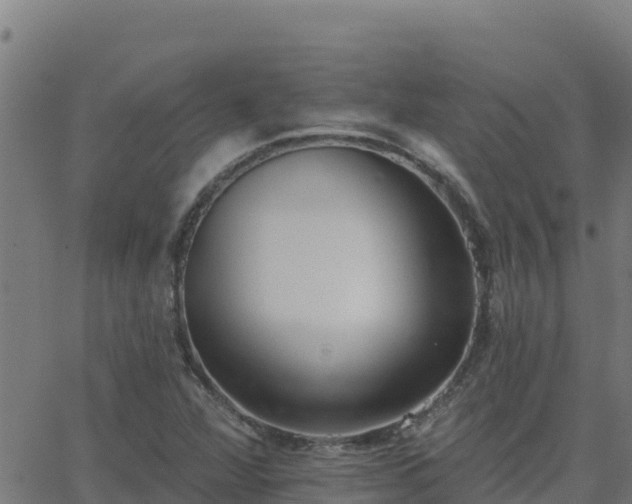 X0000062841360200601201627