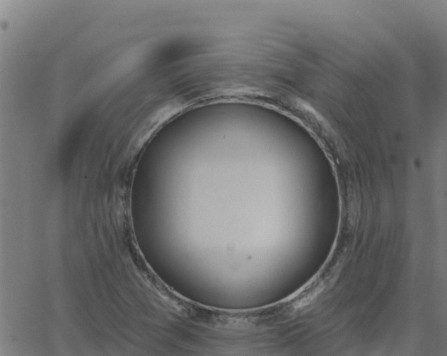 X0000062841361200601201627