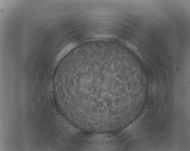 X0000062841362200601201627