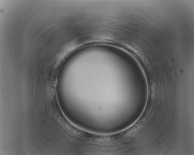 X0000062841363200601201627