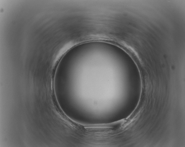 X0000062841365200601201627