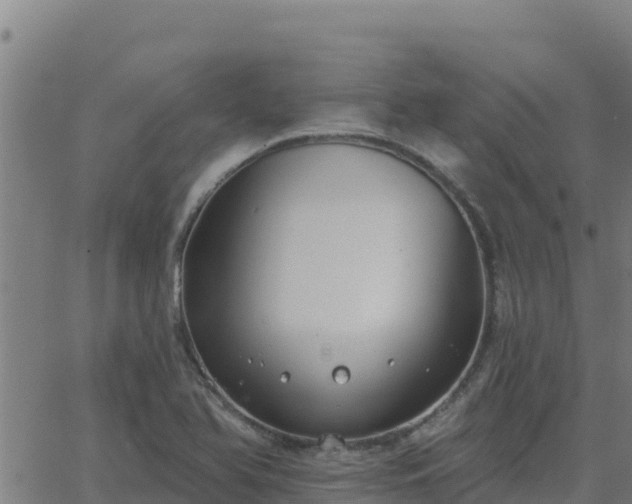 X0000062841366200601201627