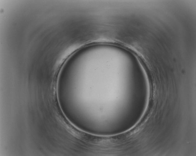 X0000062841367200601201627