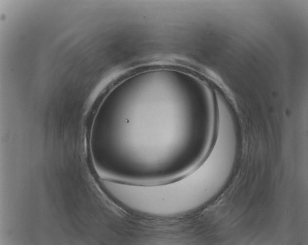 X0000062841368200601201627