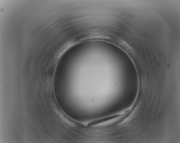 X0000062841369200601201627