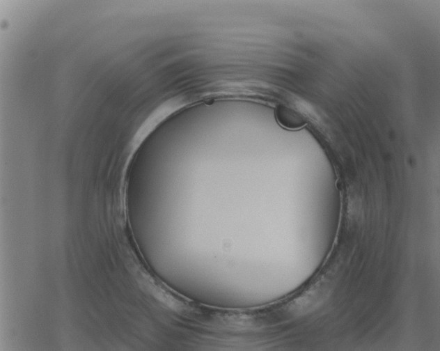 X0000062841370200601201627