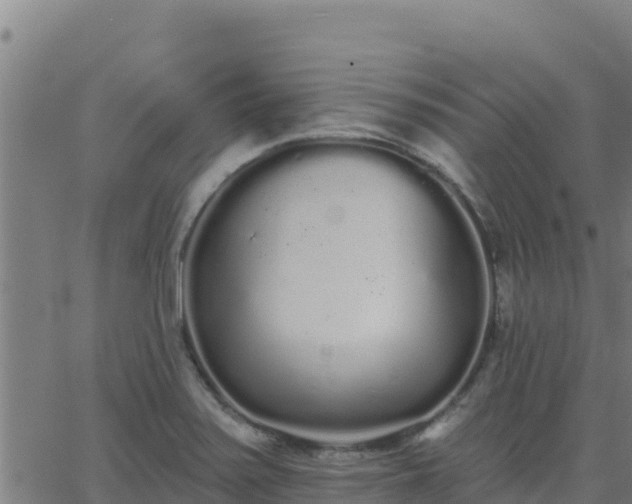 X0000062841371200601201627