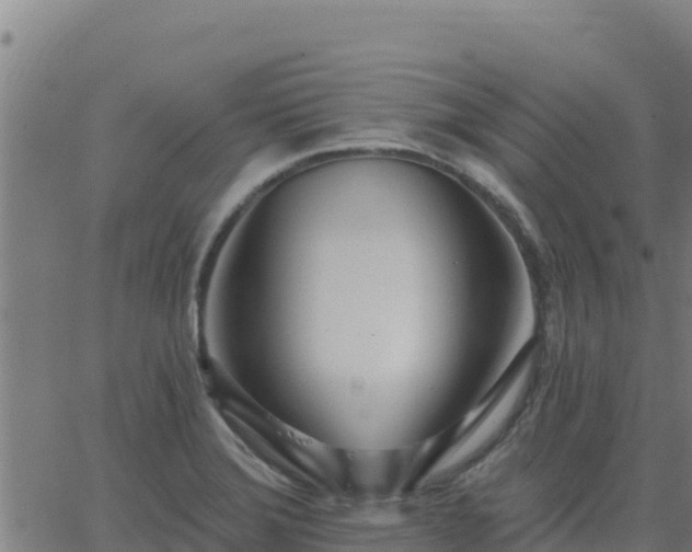 X0000062841372200601201627