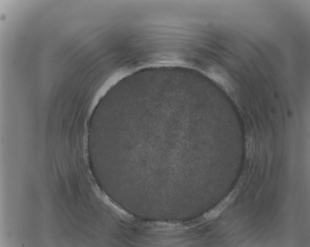 X0000062841374200601201627