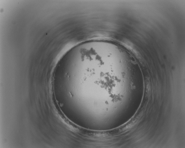 X0000062841375200601201627