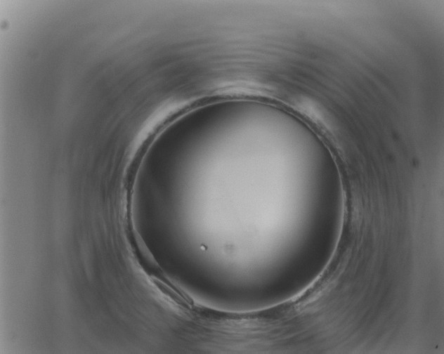 X0000062841376200601201627