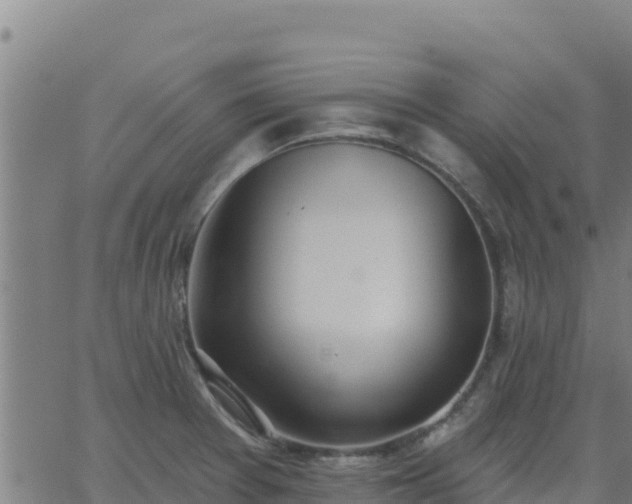 X0000062841377200601201627