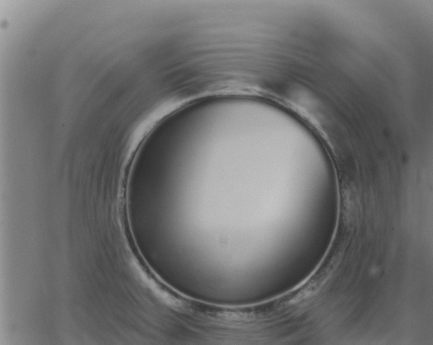 X0000062841379200601201627