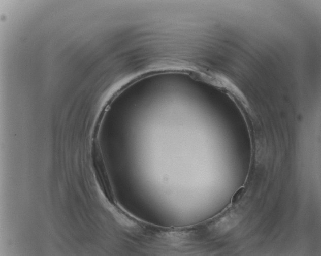 X0000062841380200601201627