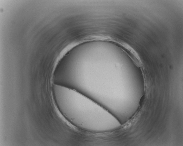 X0000062841381200601201627