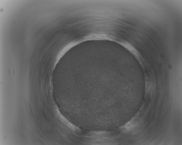 X0000062841382200601201627