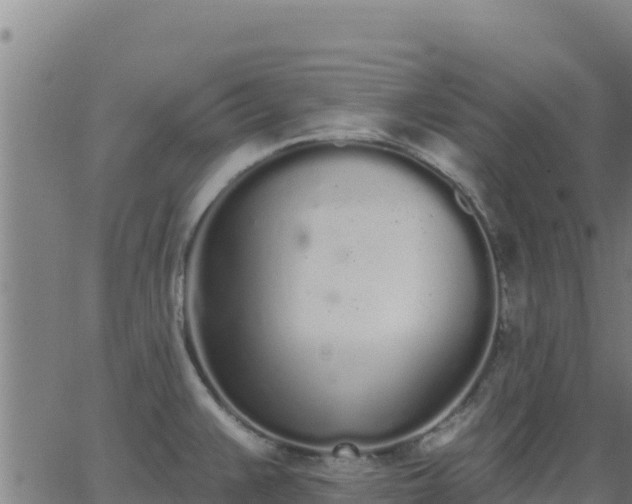 X0000062841383200601201627