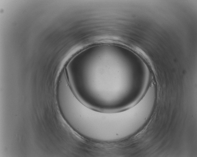 X0000062841384200601201627