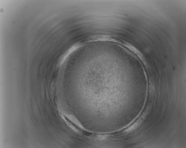 X0000062841385200601201627