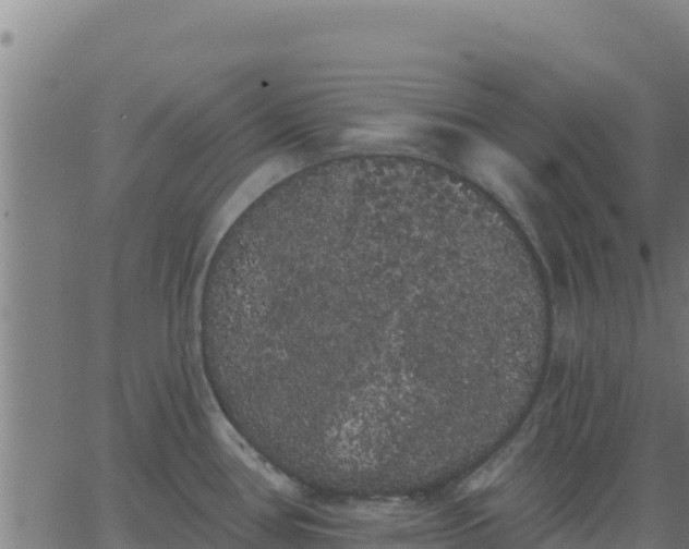 X0000062841386200601201627