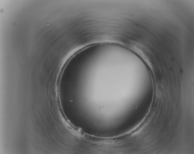 X0000062841388200601201627