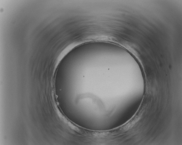 X0000062841389200601201627