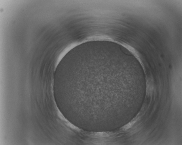 X0000062841390200601201627