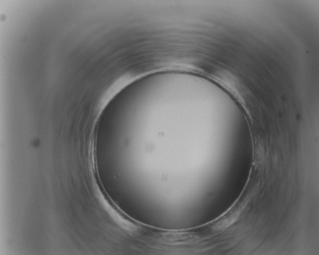 X0000062841391200601201627