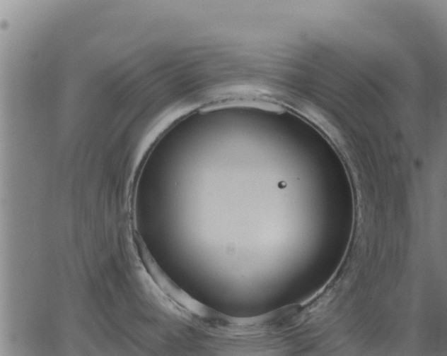 X0000062841392200601201627