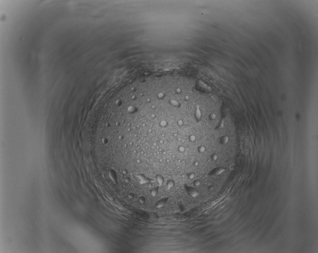 X0000062841393200601201626