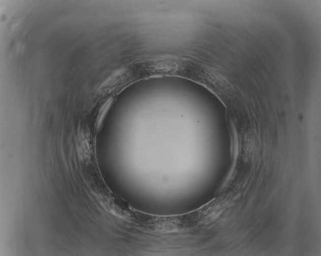 X0000062841394200601201626