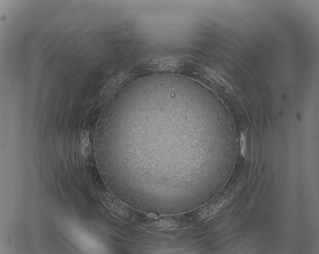 X0000062841395200601201626