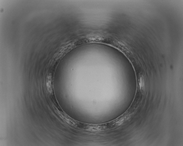 X0000062841396200601201626