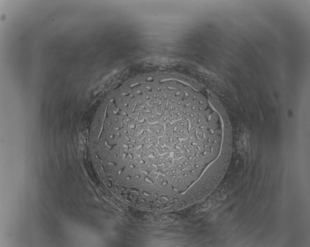 X0000062841397200601201626