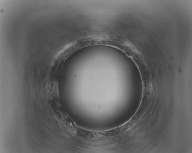 X0000062841398200601201626