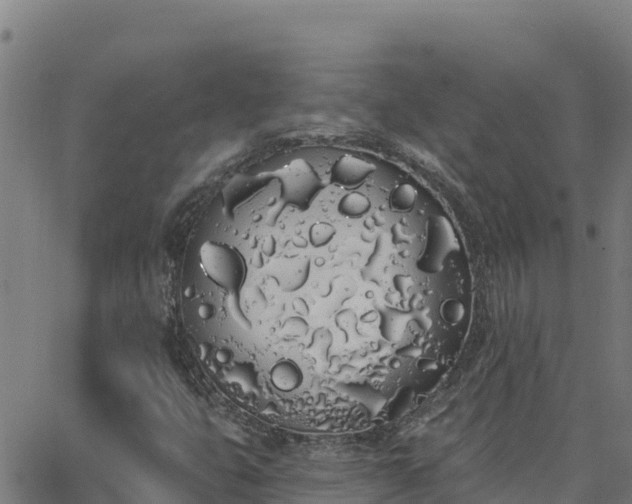 X0000062841399200601201626