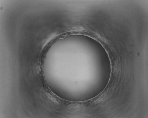 X0000062841400200601201626