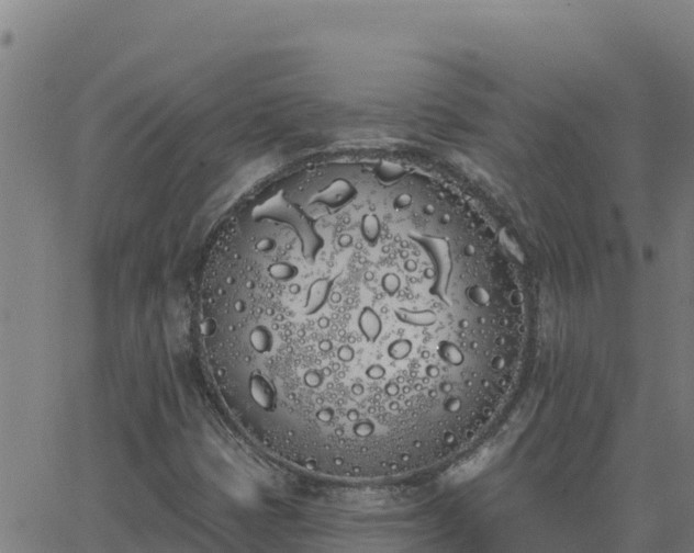 X0000062841401200601201626