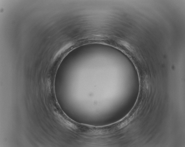 X0000062841402200601201626