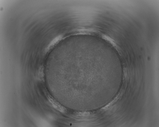 X0000062841403200601201626