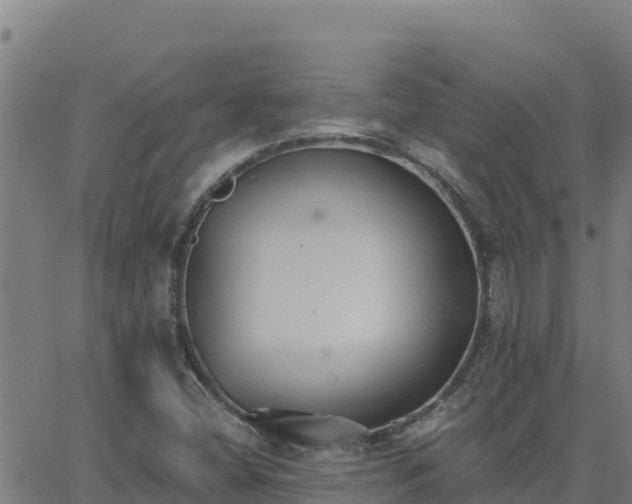 X0000062841404200601201626