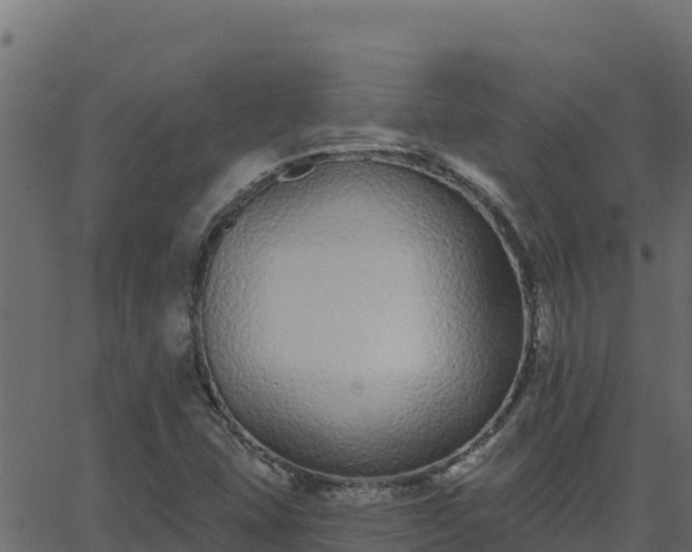 X0000062841407200601201626