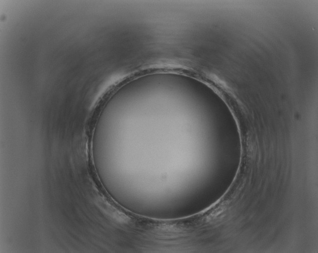 X0000062841408200601201626