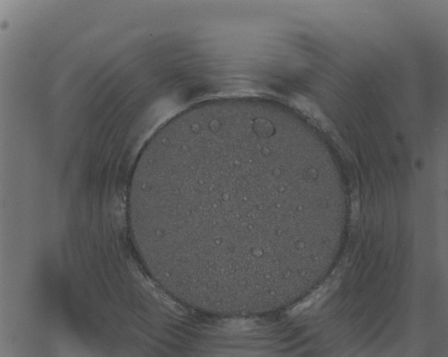 X0000062841409200601201626