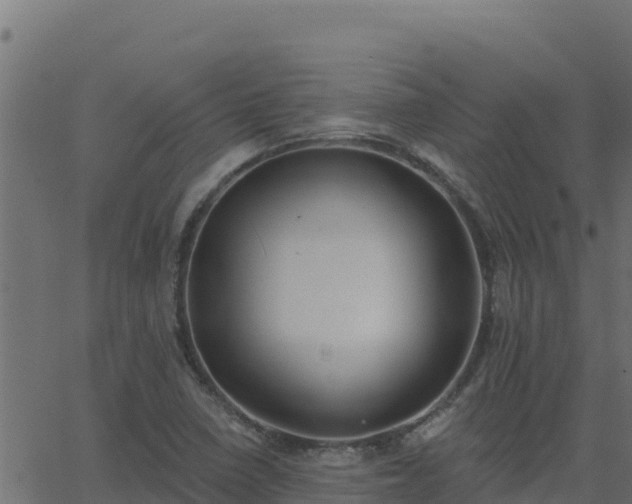 X0000062841410200601201626